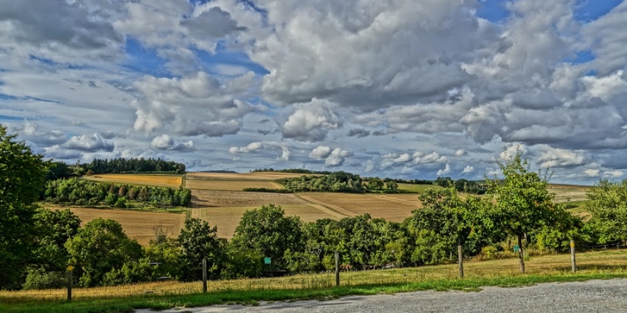 Ausblick vom Haus